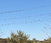 786966F0-E48A-442F-B9D9-68DF437F960A