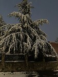 EFC1A5AE-0894-4EDB-A570-026E5F63E3BB