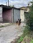 82840D47-D094-42FB-8CE1-D2DF6DD9D797