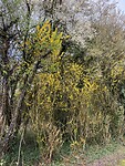 IMG_9885