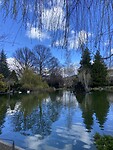 IMG_9891