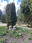 IMG_9893