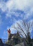 IMG_9906