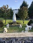IMG_9950