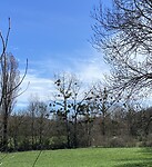 IMG_9928
