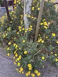 IMG_0060