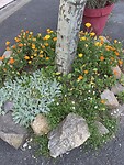 IMG_0059