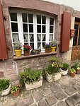 IMG_0058