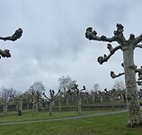 IMG_0068