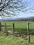 IMG_0089