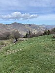 IMG_0239