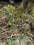 IMG_0236