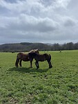 IMG_0270