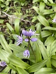 IMG_0350