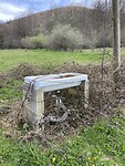 IMG_0347