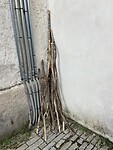 IMG_0357