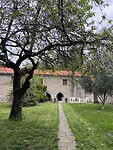 IMG_0389
