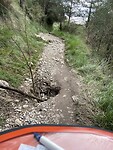IMG_0383