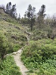 IMG_0400