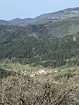 IMG_0426