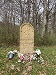 IMG_0441