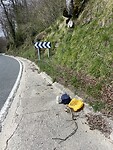 IMG_0437