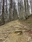 IMG_0534