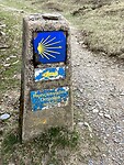 IMG_0532