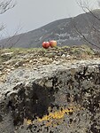 IMG_0524
