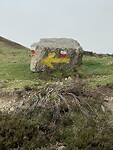 IMG_0523