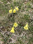 IMG_0520
