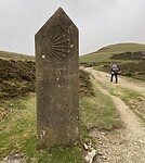 IMG_0515