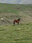 IMG_0485