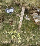 IMG_0479