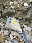 IMG_0467