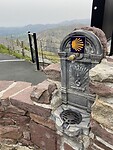 IMG_0455