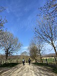 IMG_0558