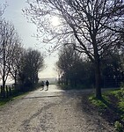 IMG_0559