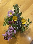 IMG_0582