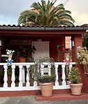 IMG_3784