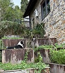 IMG_3808