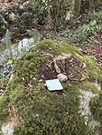 IMG_3811