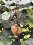 IMG_3820