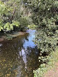 IMG_3823