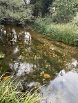 IMG_3822