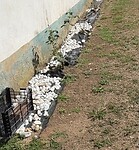 IMG_3847