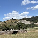 IMG_3850