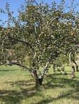 IMG_3838