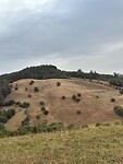 IMG_3789