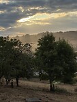IMG_3787